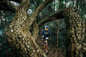 BIB: 
                            <button type="button" onclick="openModal(25394050)" class="btn btn-primary btn-sm float-right btn-popup" data-toggle="modal" data-target=".modal-high-quality">
                        <i class="fas fa-shopping-cart"></i> Add to Cart
                    </button>
                                            <button type="button" onclick="isThisMe(25394050, true)" class="btn btn-success btn-sm float-right btn-popup btn-isme hidden" data-toggle="tooltip" data-placement="bottom" title="นี่คือรูปของคุณใช่ไหม คลิกที่นี่เพื่อเอาเข้าอัลบั้ม">
                        <i class="fas fa-plus"></i> Add to album
                    </button>
                    <button type="button" onclick="isThisMe(25394050, false)" class="btn btn-warning btn-sm float-right btn-popup btn-isnotme hidden">
                        <i class="fas fa-ban"></i> Remove from album
                    </button>